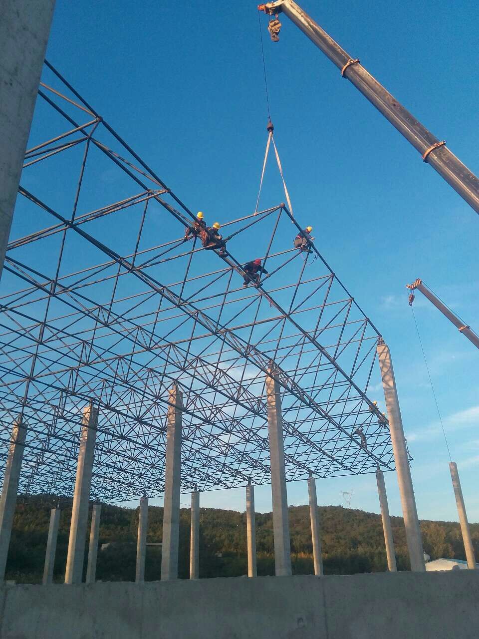 七台河物流园网架